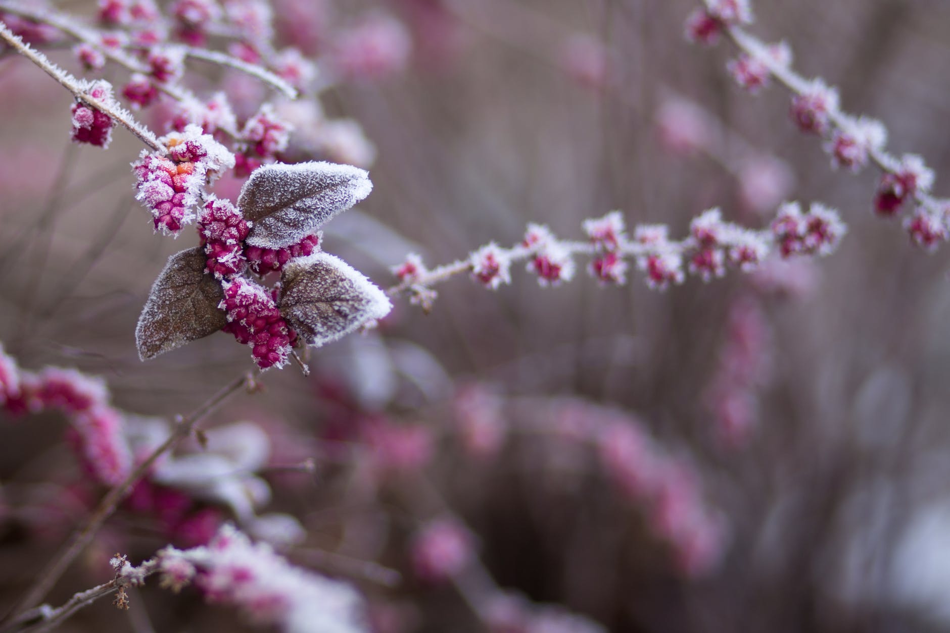 Două coduri galbene! Meteorologii prognozează intensificări de vânt și înghețuri