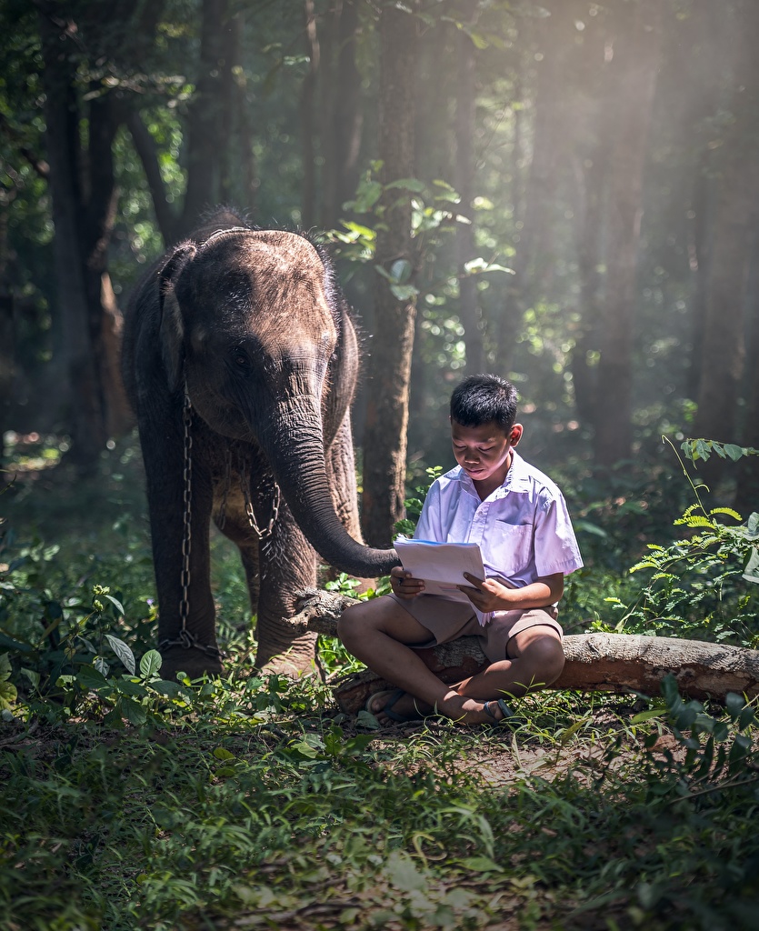 Asian_Elephants_Boys_Sitting_Grass_558279_835x1024