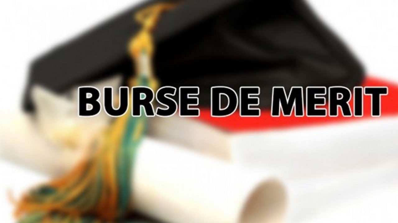 Bursele de merit vor fi acordate studenților doctoranzi înscriși atât la studii cu frecvență la zi, cât și la frecvență redusă