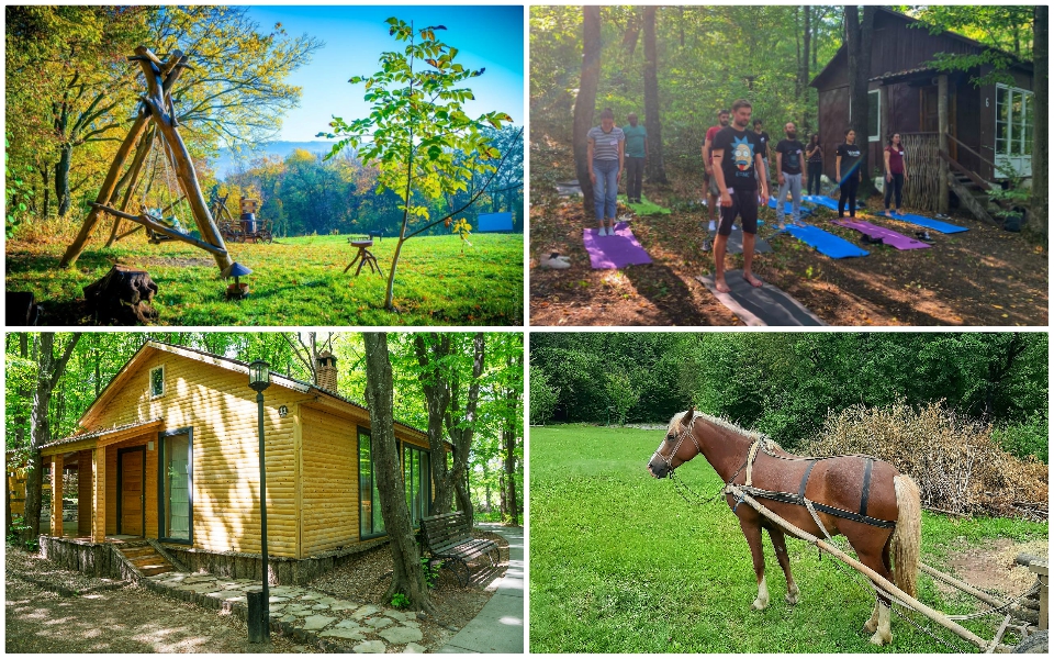 (foto) Un colțișor de rai în mijlocul Codrilor seculari din Călărași. Aici e locul perfect pentru odihnă și unire cu natura