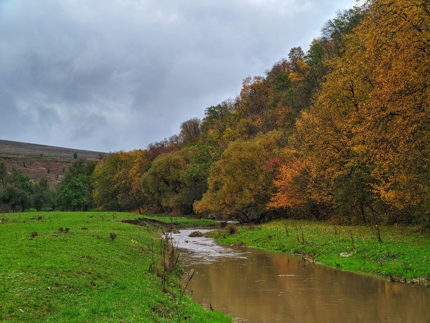 Осень лес Молдова