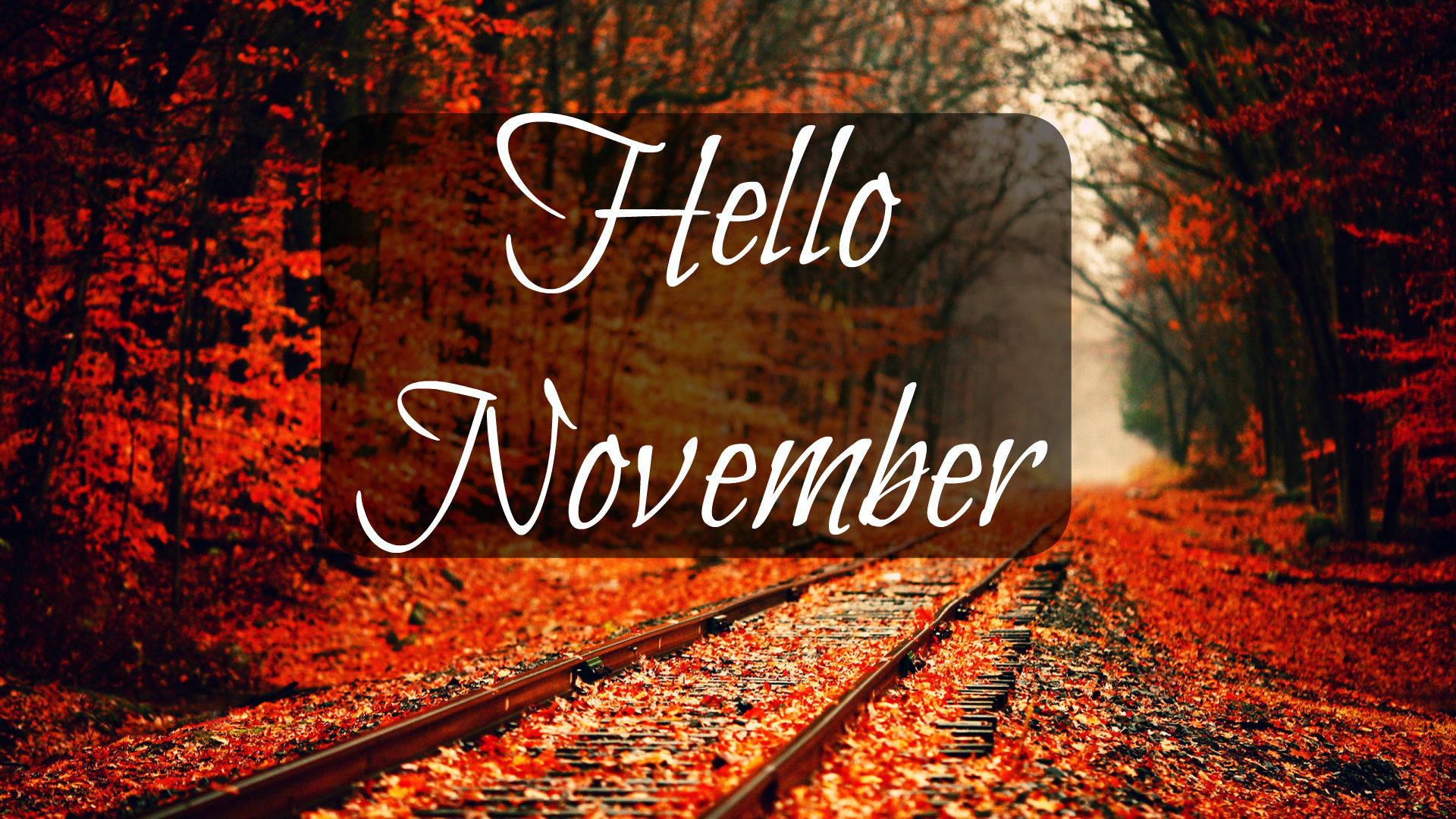 1617hello-november