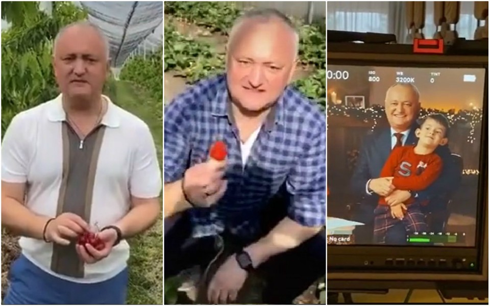 dodon tiktok