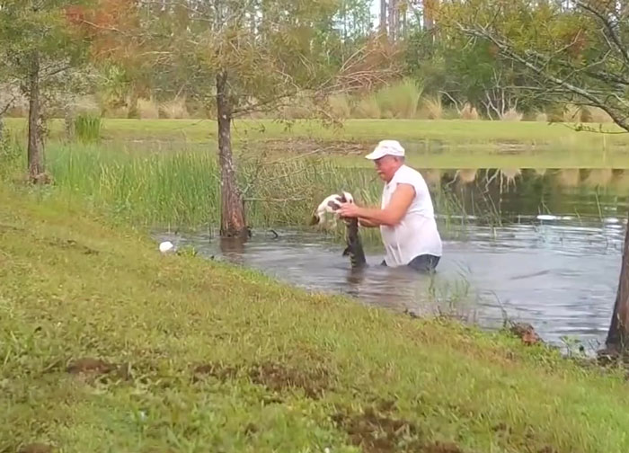 florida-man-wrestles-alligator-save-puppy-2-5fbb81e4d9e69__700