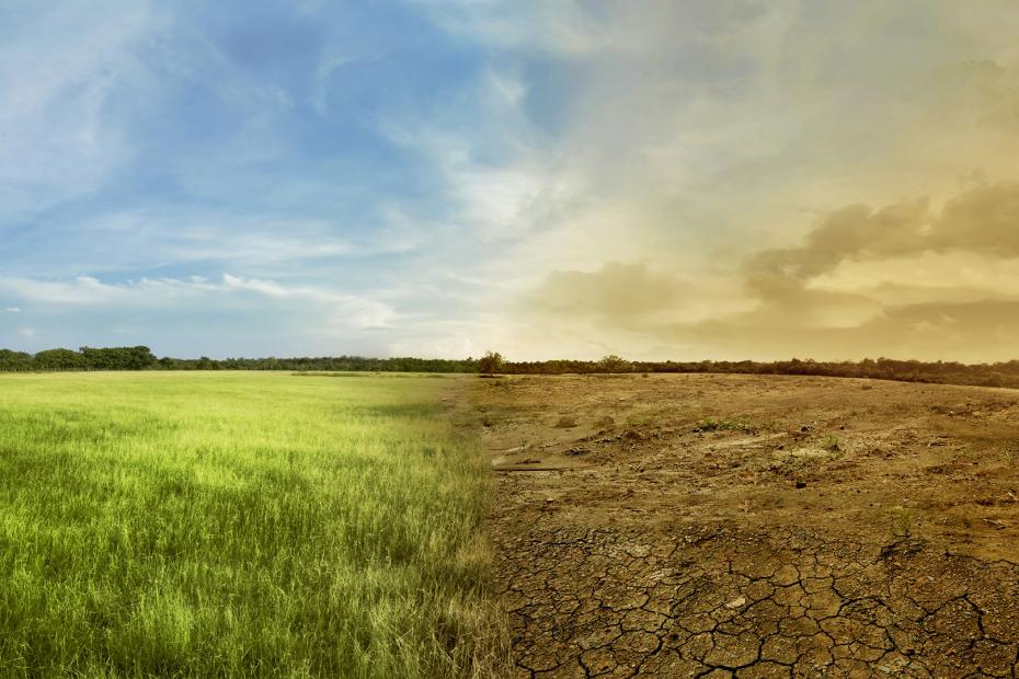 Landscape of meadow field with the changing environment