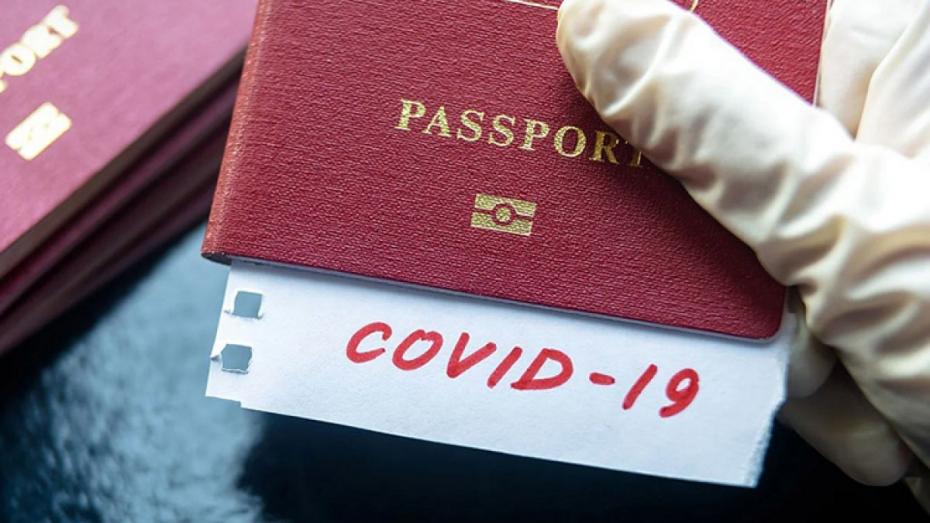 pasaportcovid11