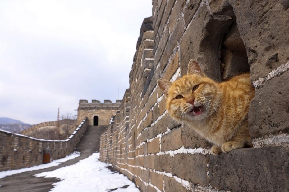 The Mutianyu Great Wall After Snow