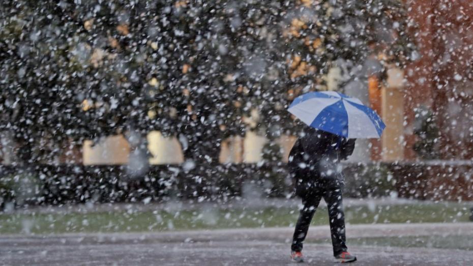 Ninsori, lapoviță și temperaturi în creștere. Care este prognoza meteo pentru săptămâna curentă