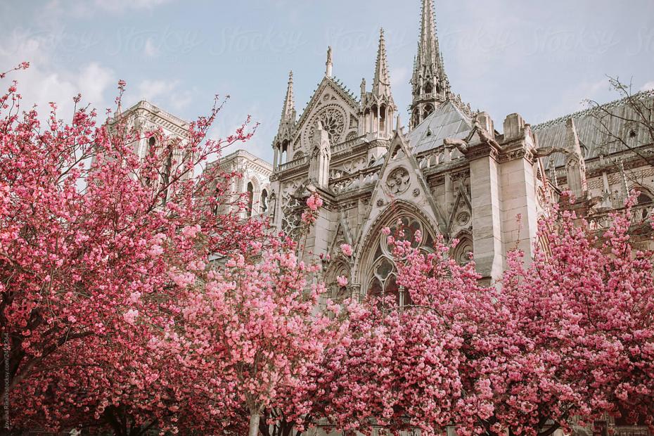 Catedrala Notre-Dame din Paris își va redeschide ușile în anul 2024