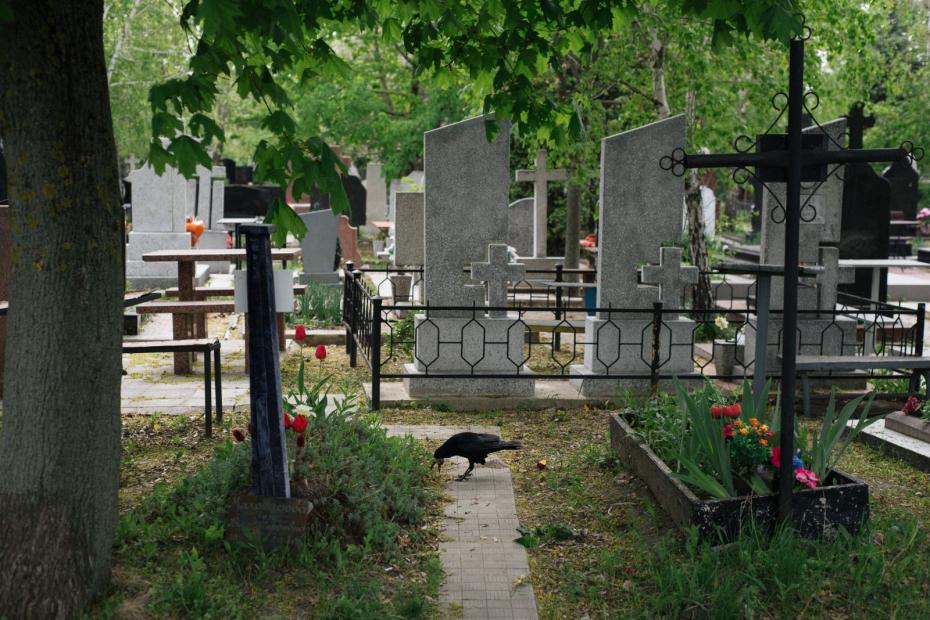 cimitir