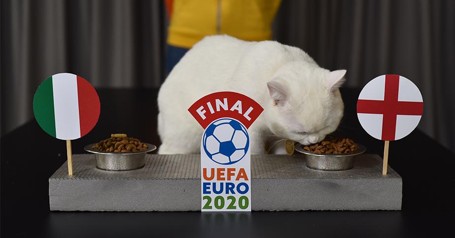 UEFA EURO 2020: motanul SEBO a ales câștigătorul marii finale