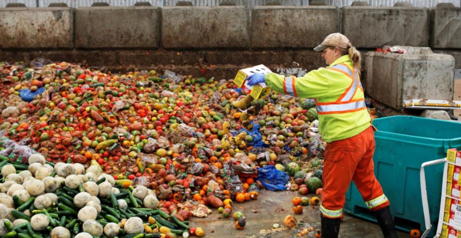 Risipa alimentară. Aproape jumătate din producția mondială de mâncare rămâne neconsumată