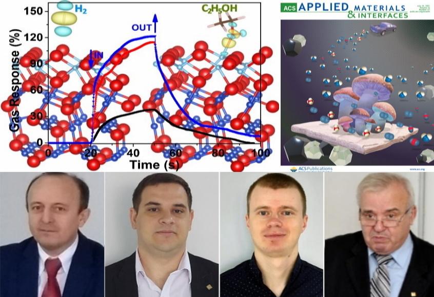 O nouă lucrare științifică face cinste UTM pe arena internațională: „Reprezintă un pas important în domeniul nanoștiinței, dar și a ingineriei biomedicale”