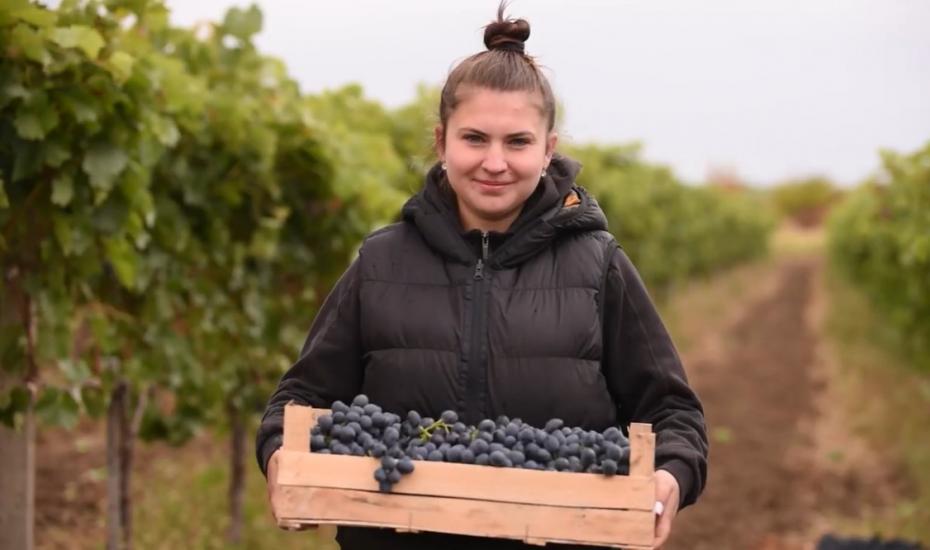 (video) Cooltivăm împreună cu Cristina Marcenco. Povestea unei afaceri agricole din satul Baurci Moldoveni 