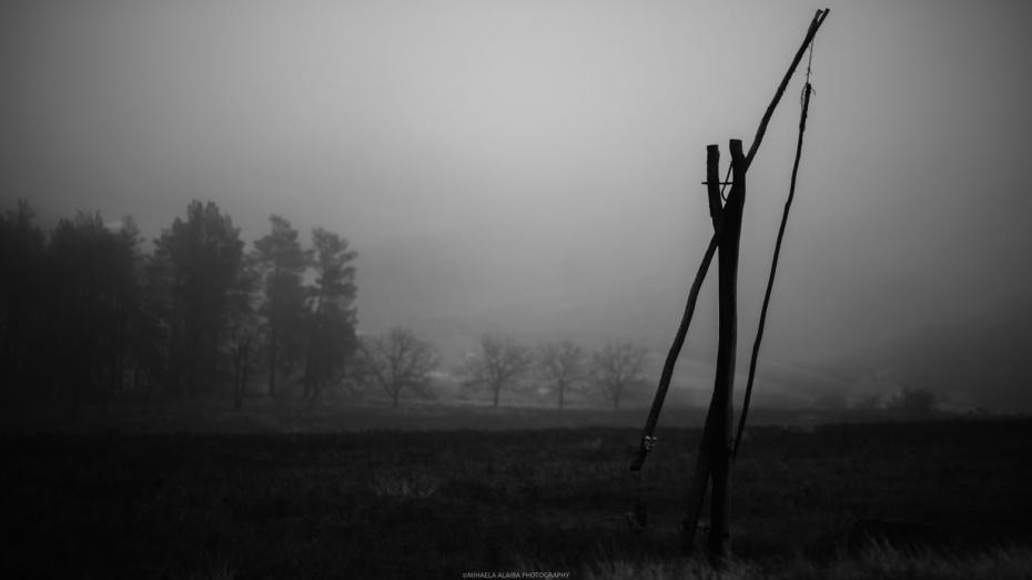 (foto) Frumusețea ceții în luna decembrie. Cum arată natura prin obiectivul fotografei Mihaela Alaiba