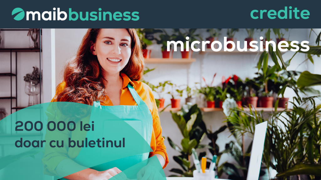 Afacerile mici cresc împreună cu maib și creditul microbusiness