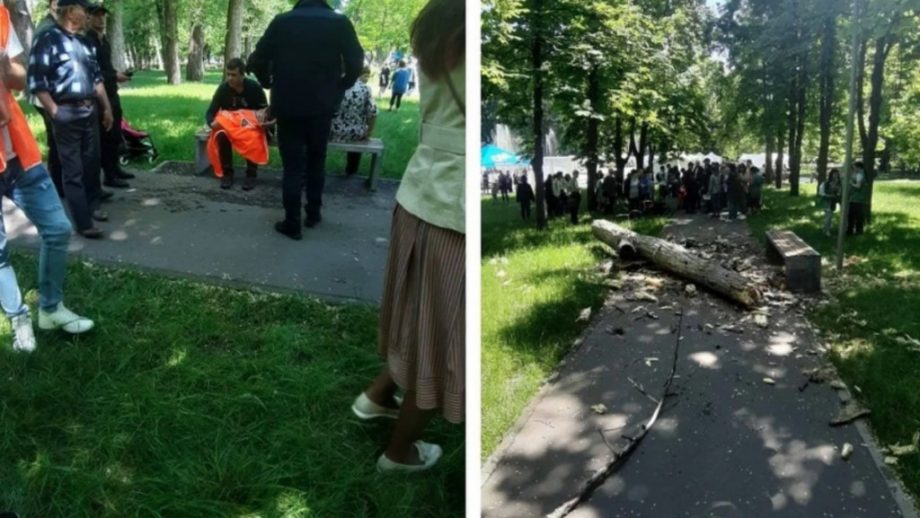 parcul alunelul copilul decedat