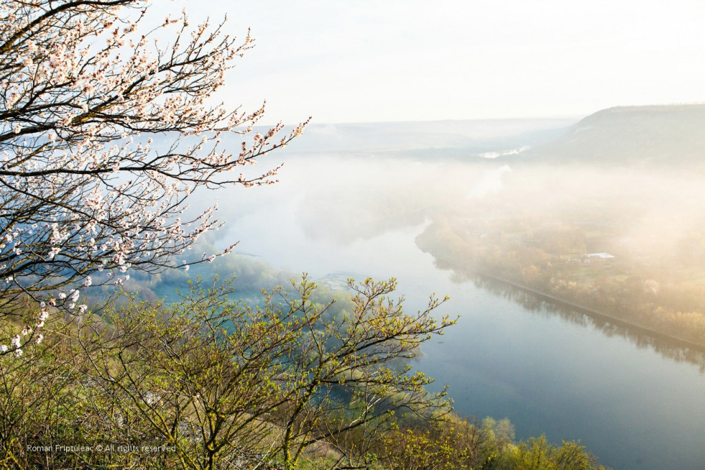 moldova