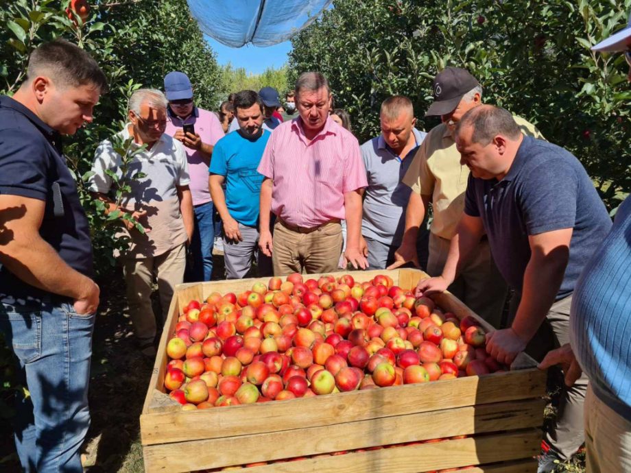 produse agricole