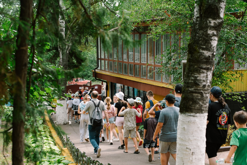 tabara de vara