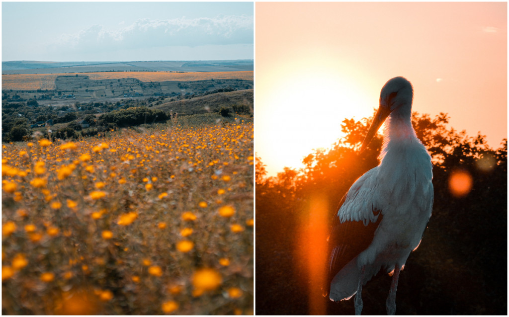 Moldova