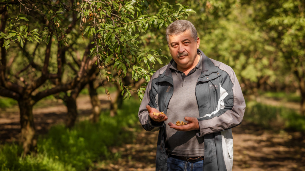 Migdalele moldovenești au uimit spaniolii. Povestea producătorului local Simion Cerneanu