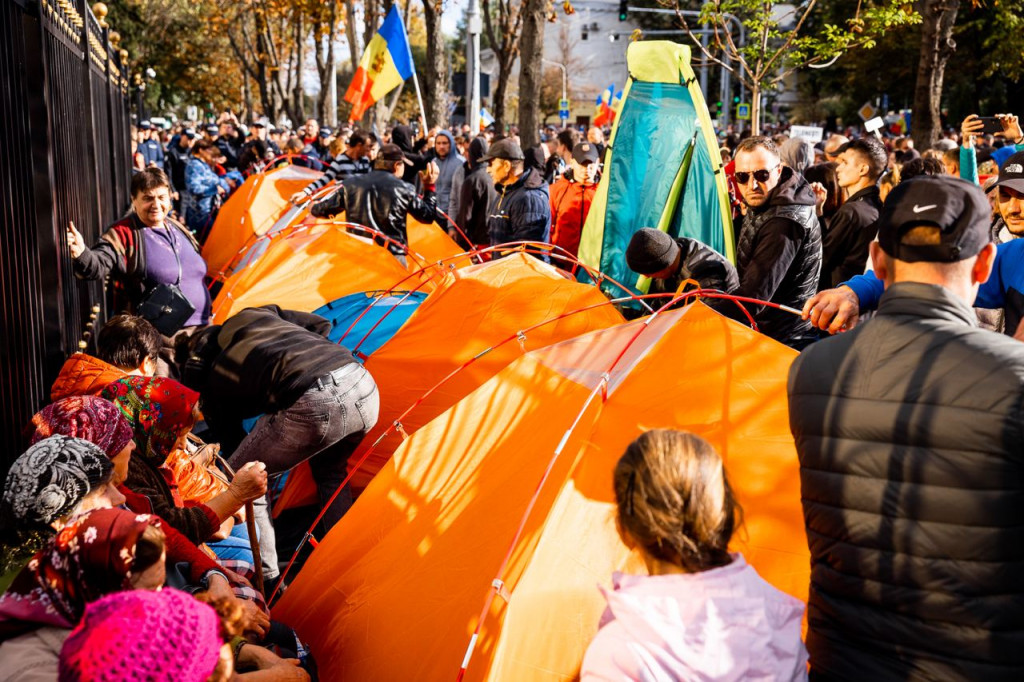 protest șor