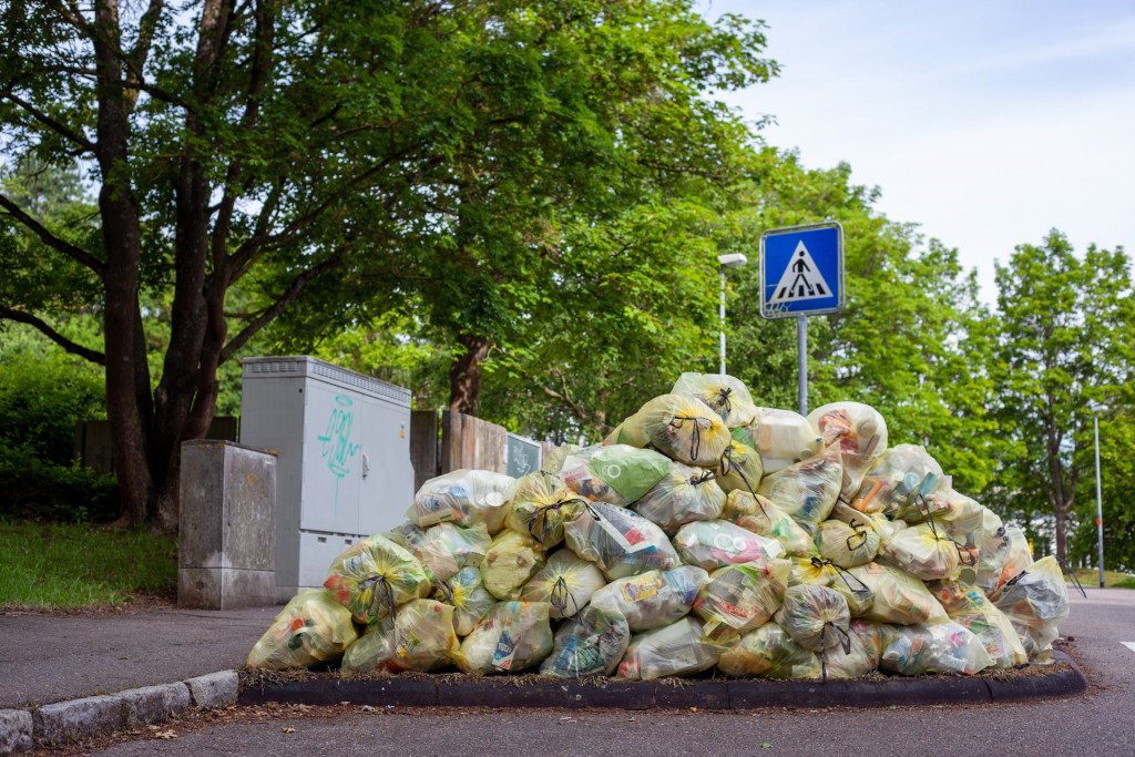 Parlamentul a aprobat un proiect de lege privind prevenirea pierderii și risipei alimentare