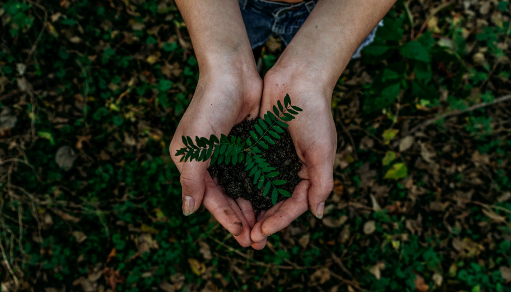 Cum voluntariatul poate contribui la educarea ecologică a tinerilor