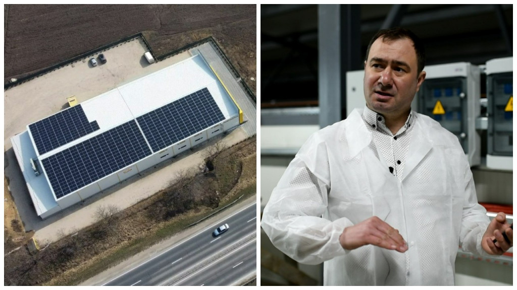 (video) Agricultură responsabilă și economie! Istoria panourilor fotovoltaice de la Sandic Honey Group