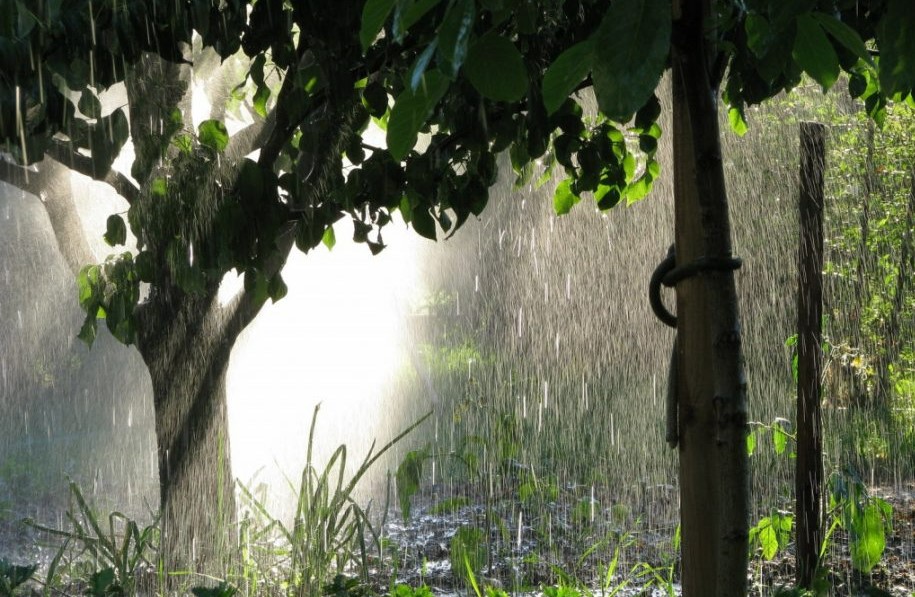 Cod galben de instabilitate atmosferică. Meteorologii prevăd descărcări electrice cu ploi de scurtă durată