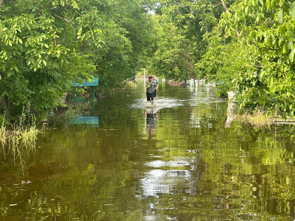 Ucraina