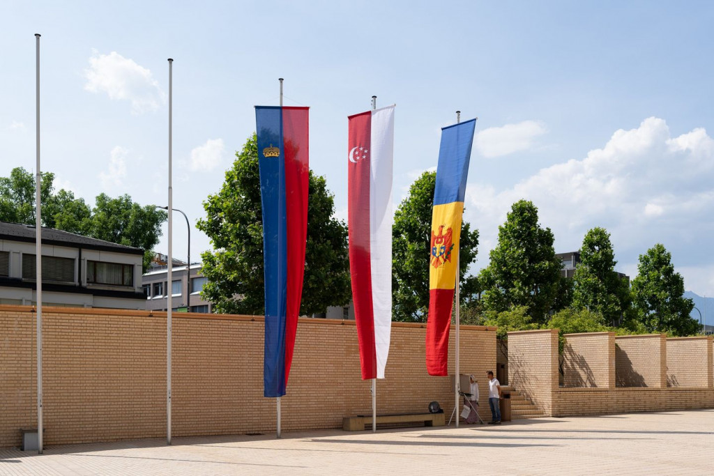 moldova flag