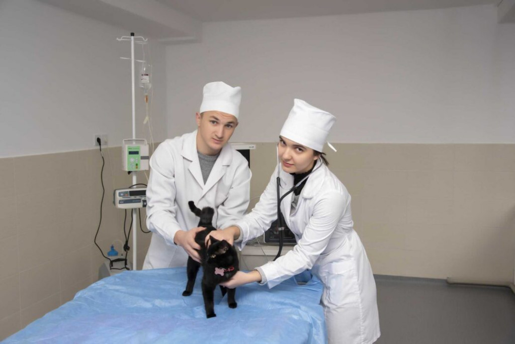 Centru Medical Veterinar din cadrul UTM continuă să ofere un standard înalt de îngrijire în medicina veterinară