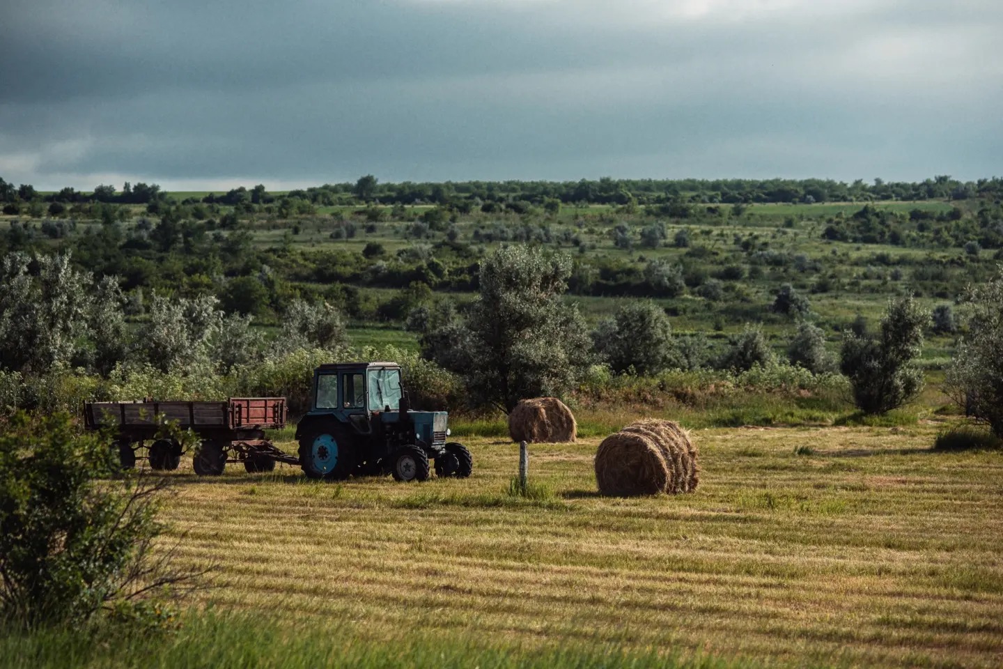 agricultura Moldova