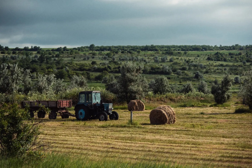 (foto) De o frumusețe incomparabilă, dacă știi să o privești! Cum a surprins fotograful Alexandru Vengher Moldova