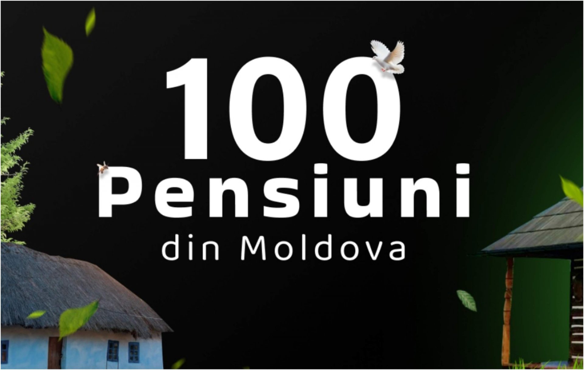 100pensiuni (1)