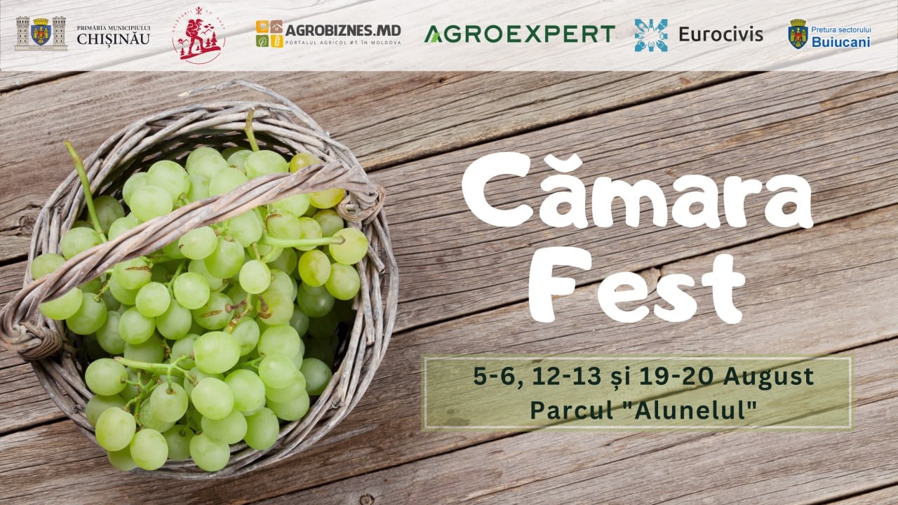 Cămara Fest