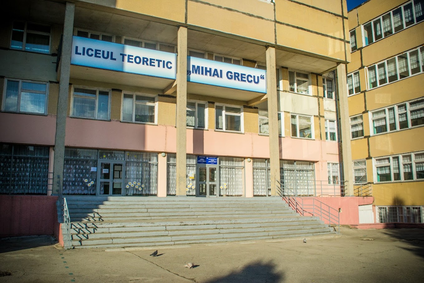 Liceul Teoretic Mihai Grecu