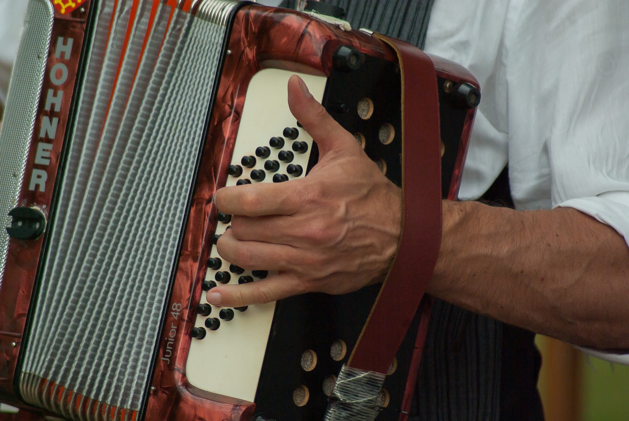 muzician acordeon muzica instrumente