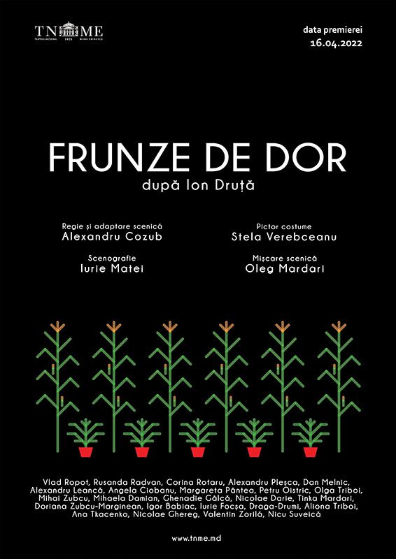 #6. Spectacolul „Frunze de dor”