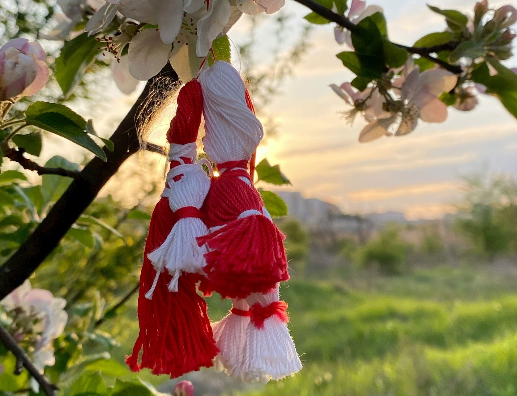 martisor primavara