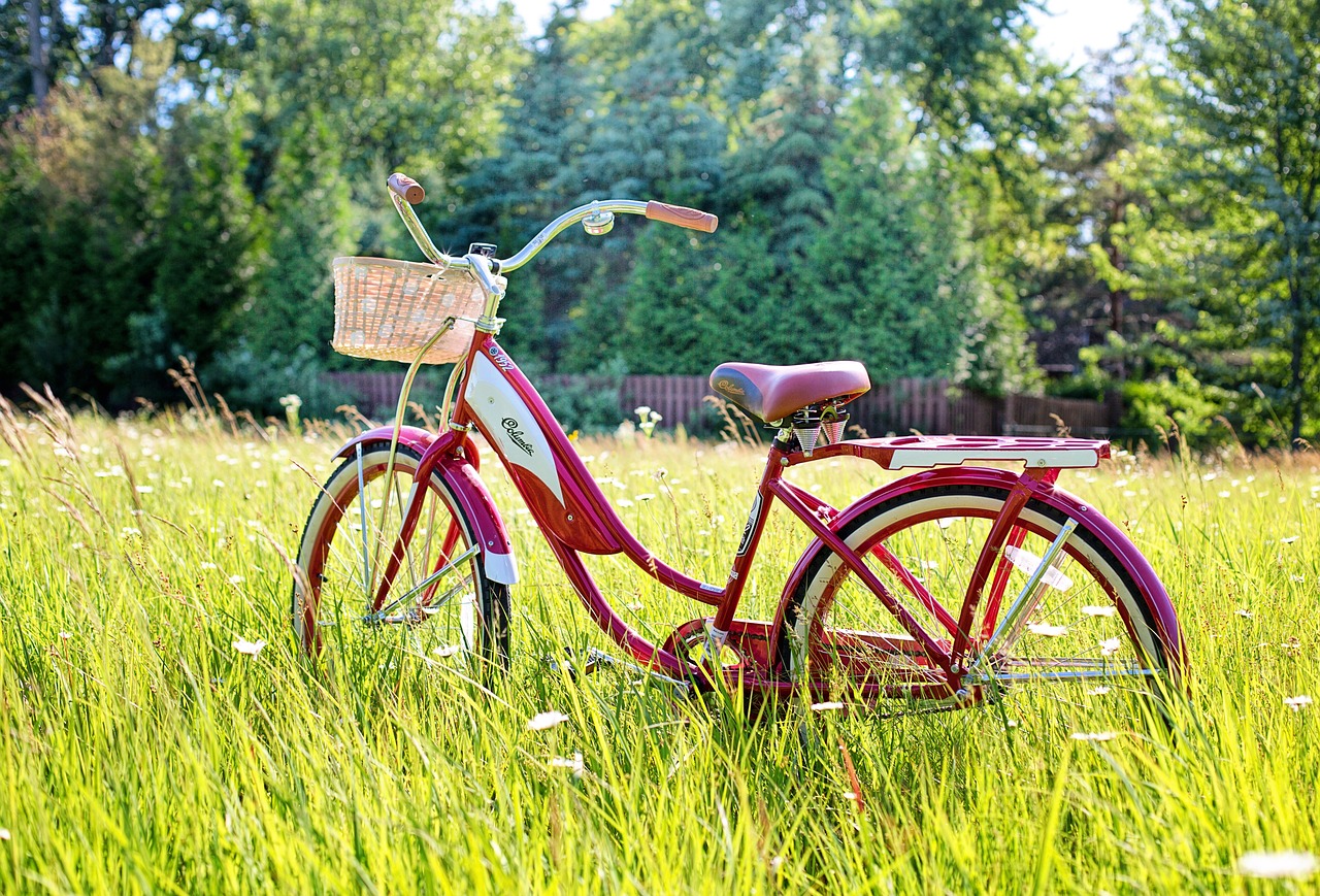 Secretul unei biciclete sclipitoare și durabile. Sfaturi cum să o cureți