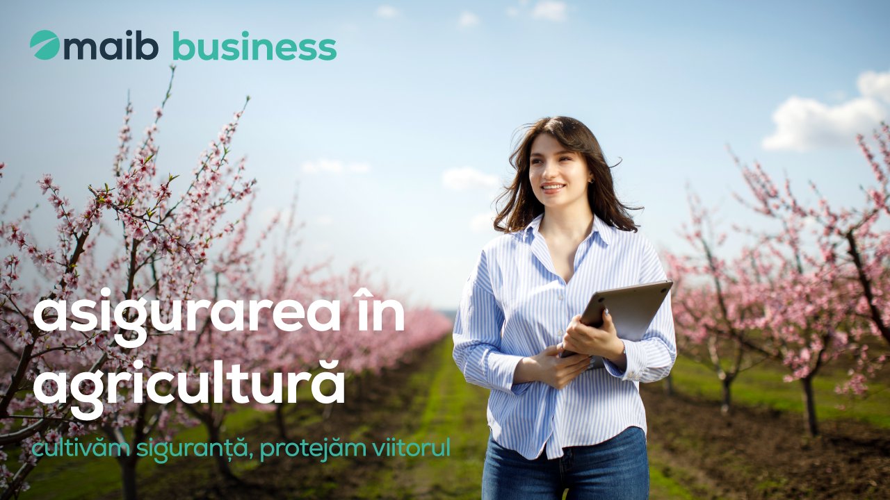 Asigurarea în agricultură de la maib – cultivăm siguranță, protejăm viitorul