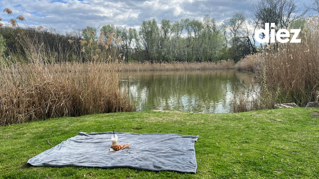 picnic main fotografie natura lac Chisinau timp liber