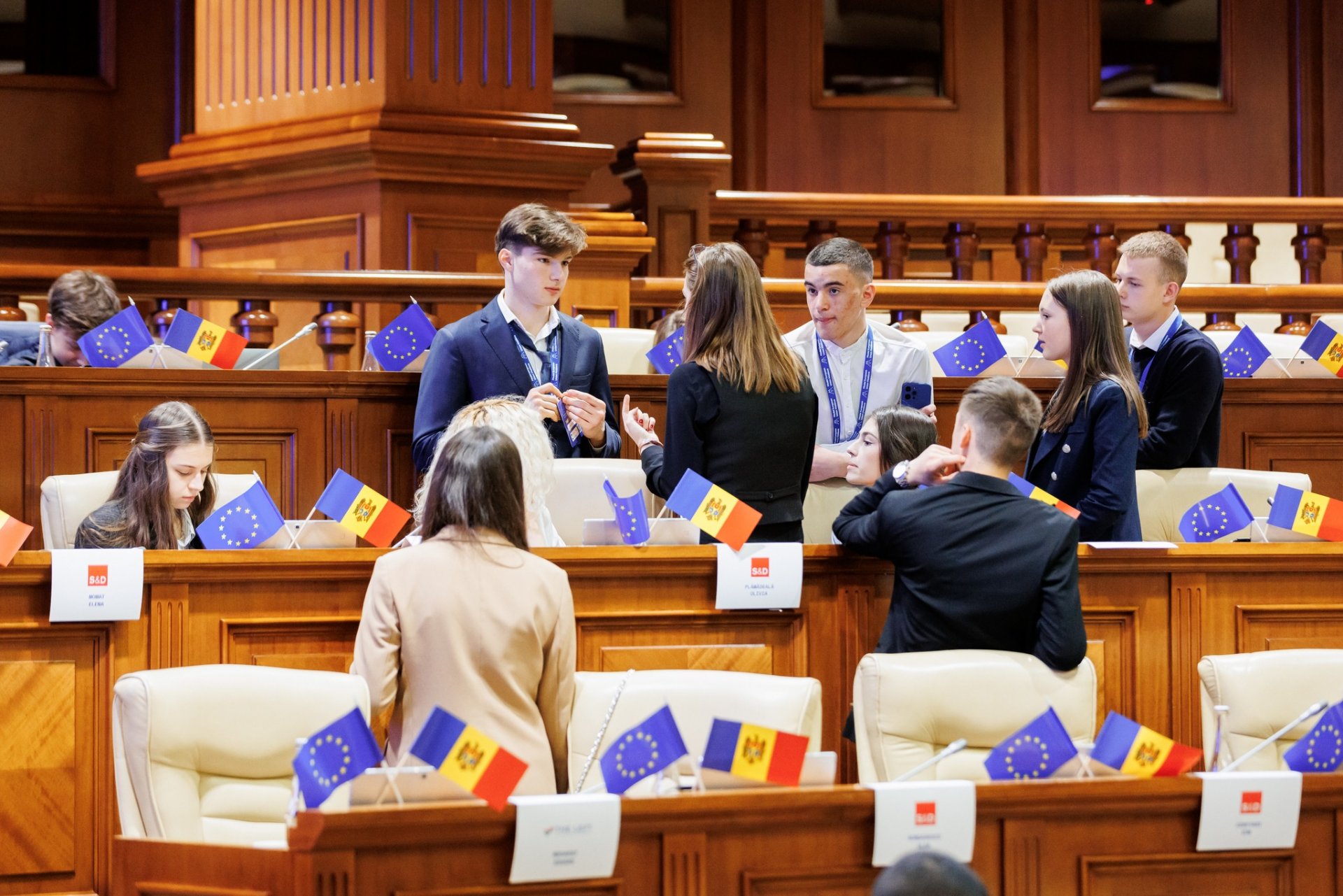 tineri parlament oportunități