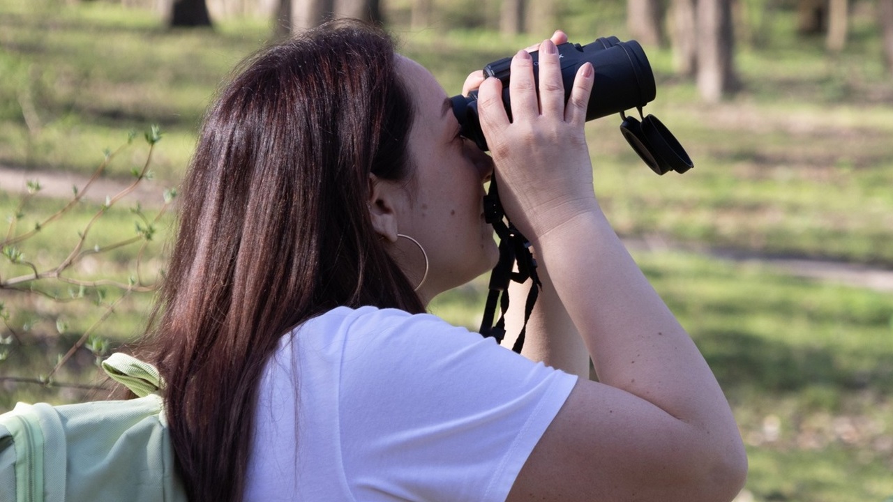 binoclu pasare activitati parc chisinau primavara (1)