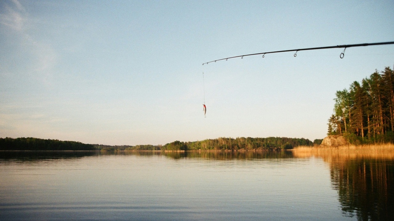 pescuit lac Moldova natura activitati apa iaz (1) (1)