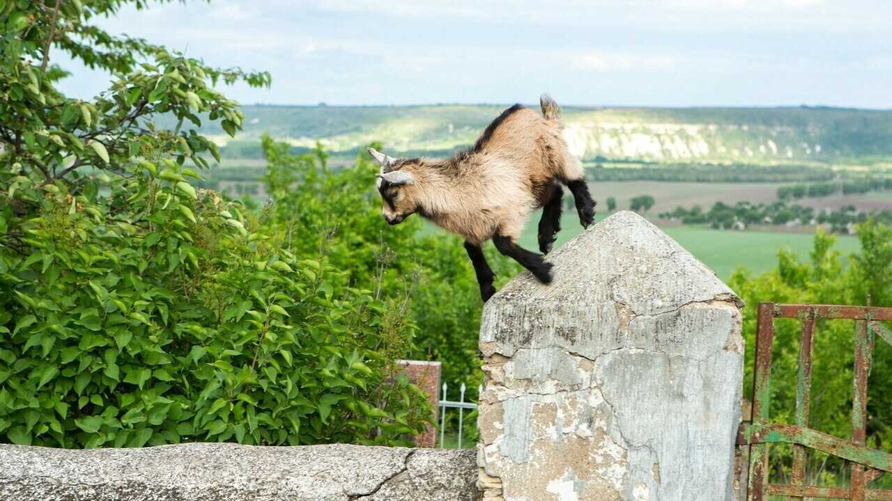 moldova natura calatorii