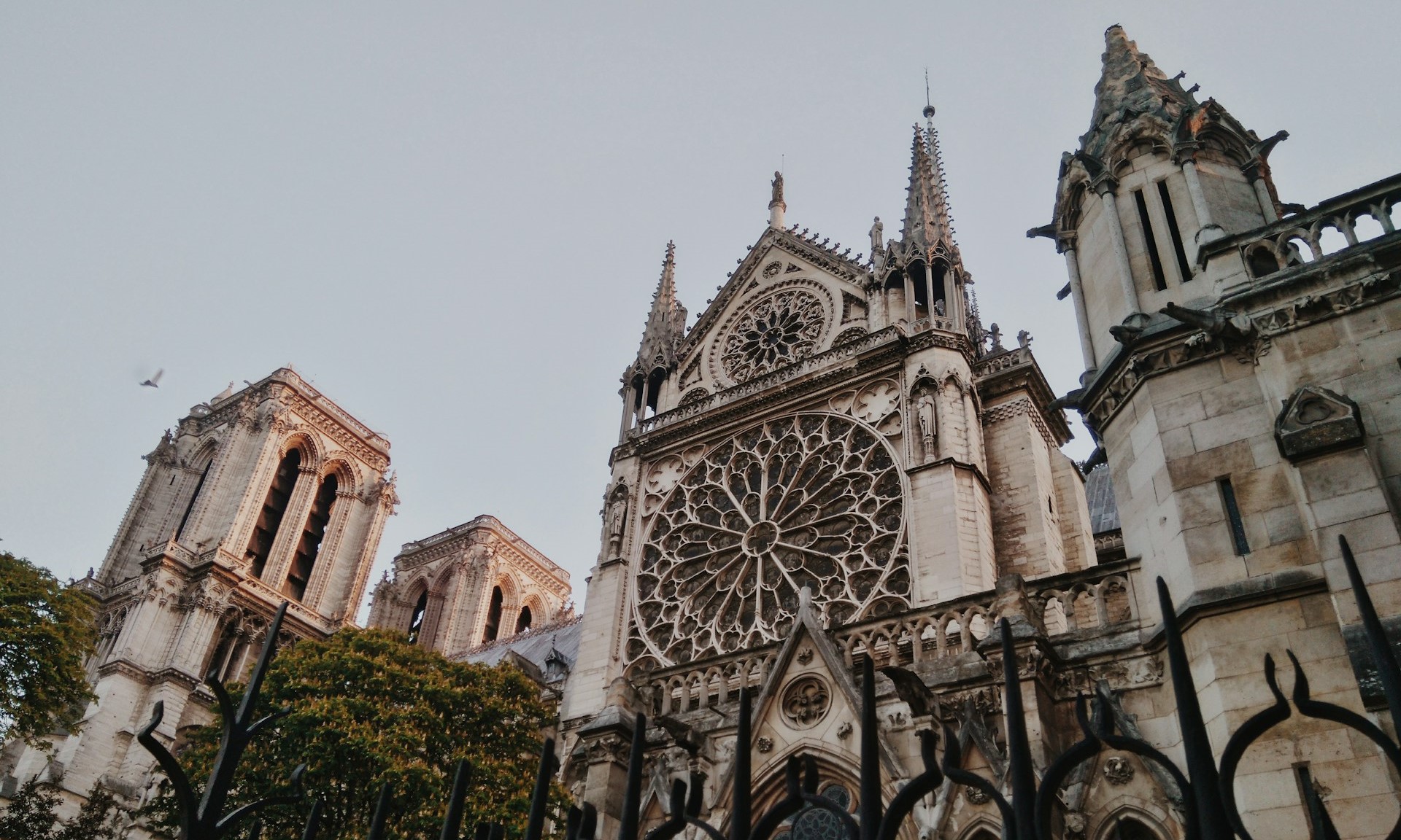 catedrala notre dame